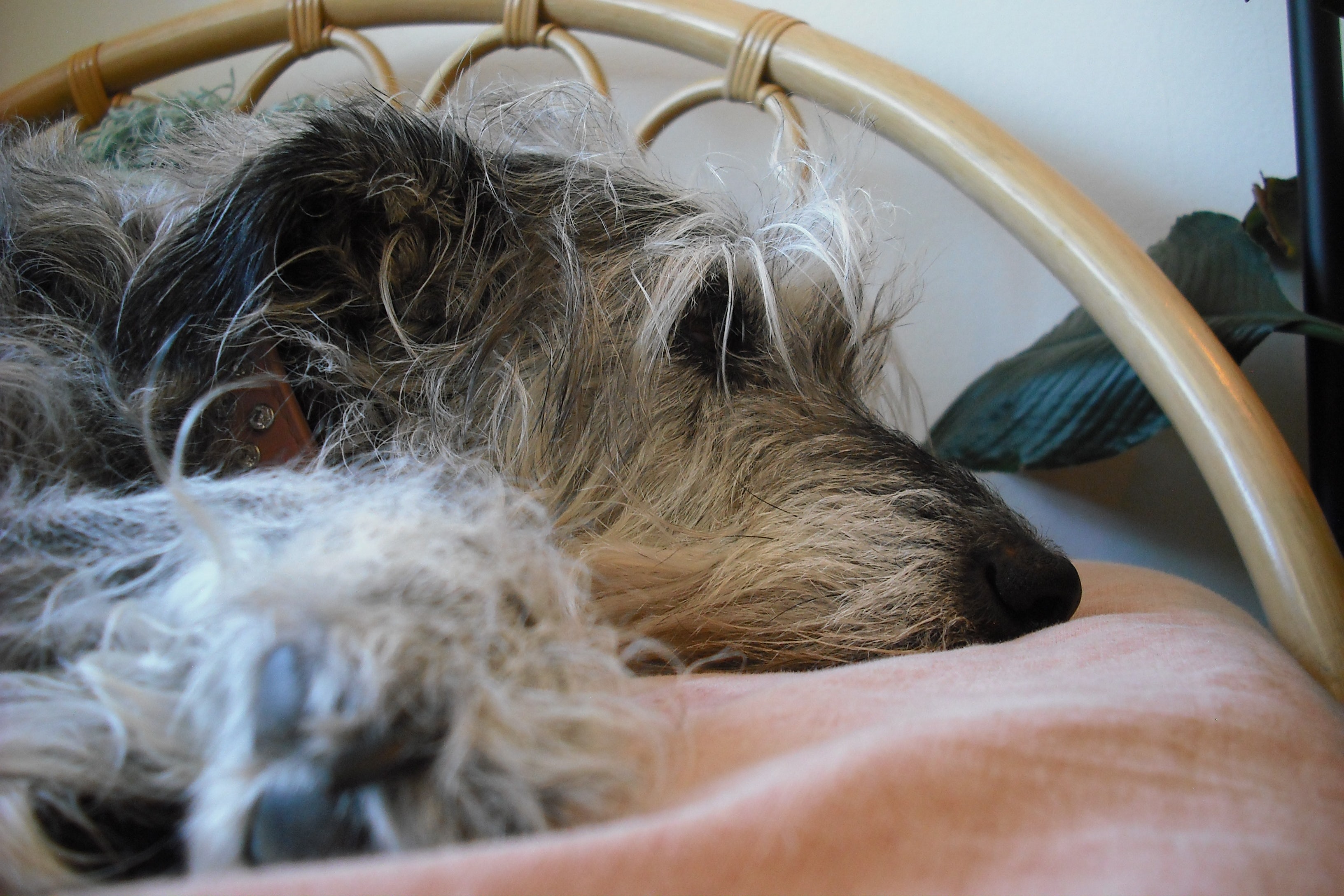 Shot on FUJIFILM FinePix J15fd (9 Photos)